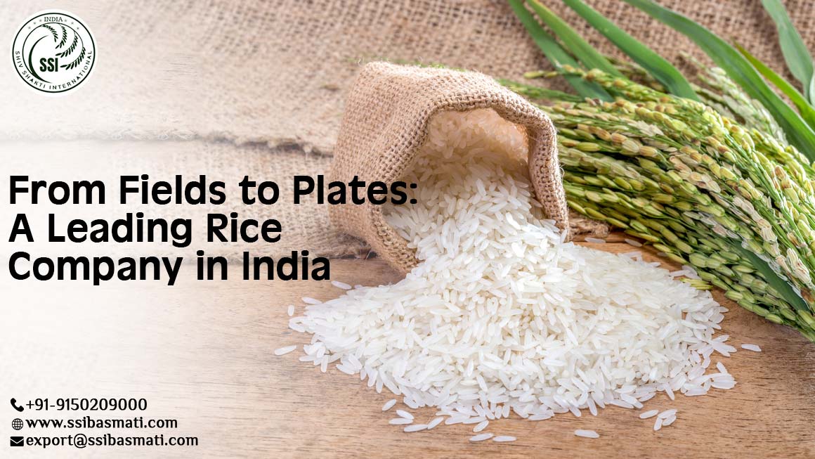 From Fields to Plates: A Leading Rice Company in India 